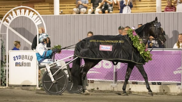 Foto: JESPER HAMMARLUND