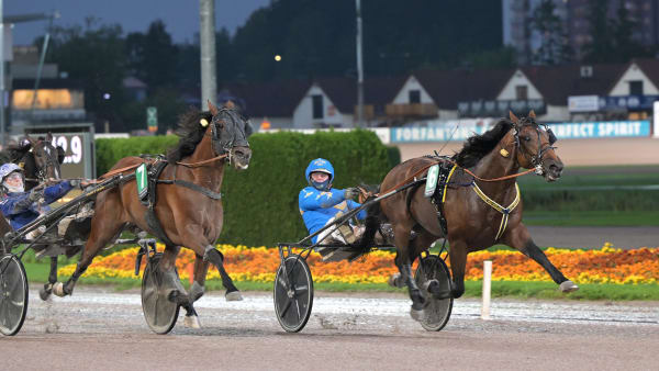 Foto: LARS JAKOBSSON / TR BILD