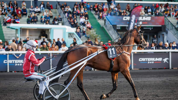 Foto: Bruno Valdevede / LeTrot.com