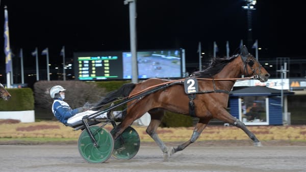 Foto: LARS JAKOBSSON / TR BILD