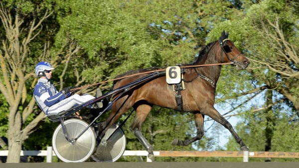 Foto: LARS JAKOBSSON / TR BILD