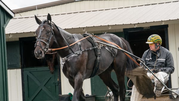 Foto: THOMAS BLOMQVIST / TR BILD