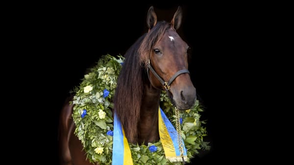 Foto: LARS JAKOBSSON / TR BILD