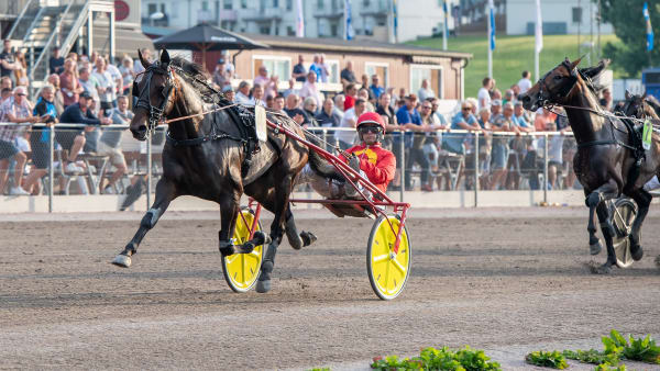 Foto: MIKAEL ROSENQUIST / TR BILD