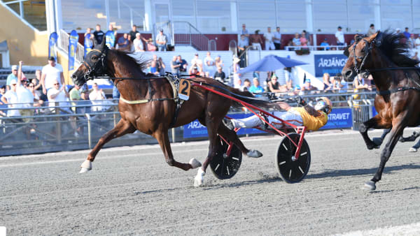 Foto: Malin Albinsson/TR Bild