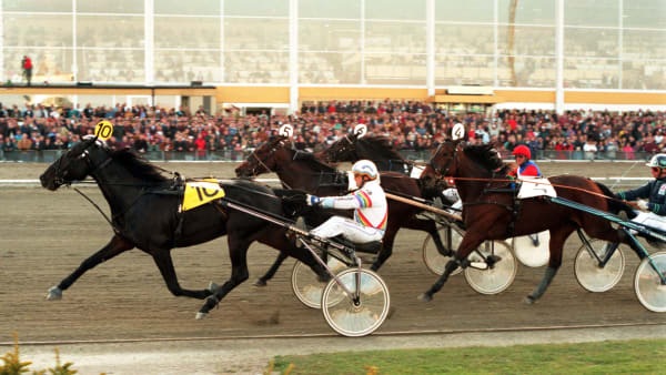 Foto: THOMAS BLOMQVIST/TR BILD
