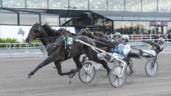 Foto: LARS JAKOBSSON / TR BILD