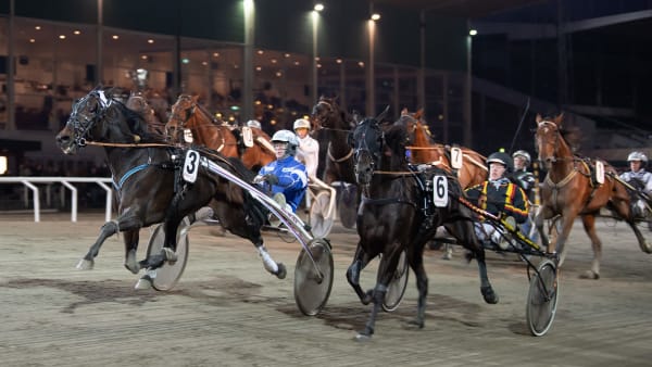 Foto: MIKAEL ROSENQUIST / TR BILD