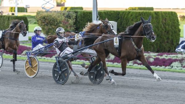 Foto: LENA EMMOTH / TR BILD