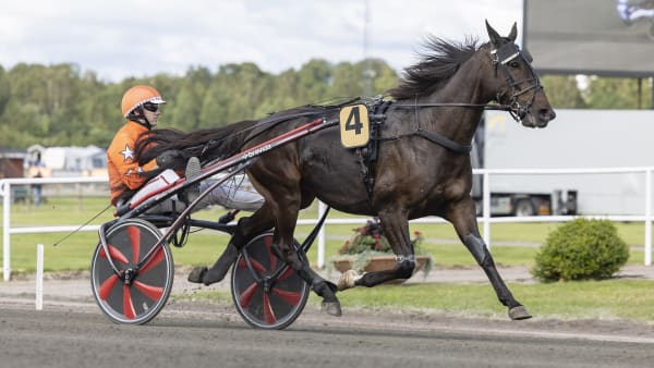 Foto: LENA EMMOTH / TR BILD