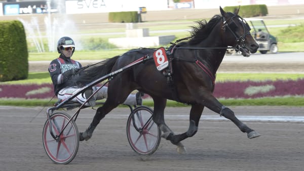 Foto: LARS JAKOBSSON / TR BILD