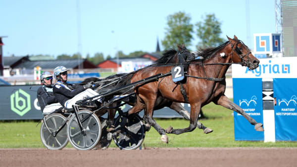 Foto: MARIA HOLMÉN / TR BILD