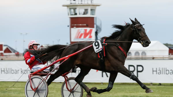 Foto: LENA EMMOTH / TR BILD