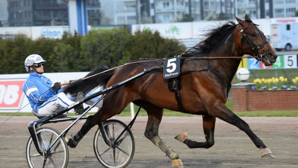 Foto: MALIN ALBINSSON / TR BILD