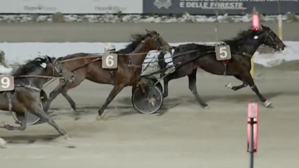 Foto: Skärmdump Snai Ippica.