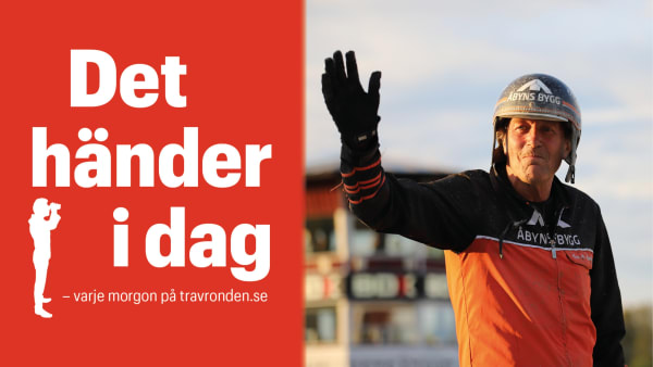 Foto: TR BILD/MONTAGE