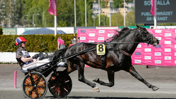 Foto: LENA EMMOTH / TR BILD