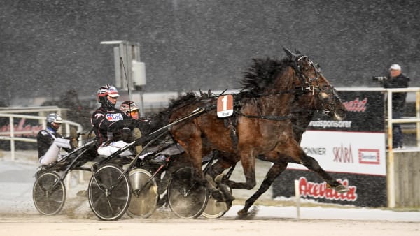 Foto: MALIN ALBINSSON / TR BILD