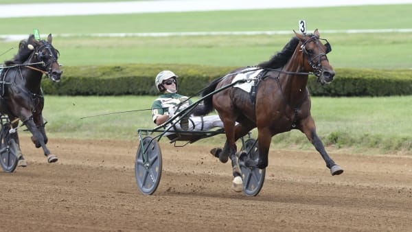 Foto: MIA TÖRNBERG/TR BILD