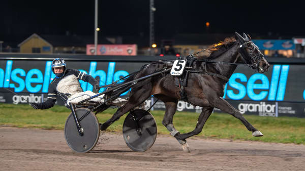 Foto: MIKAEL ROSENQUIST / TR BILD