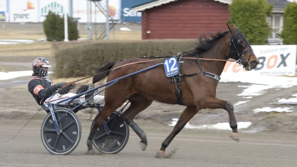 Foto: LARS JAKOBSSON / TR BILD