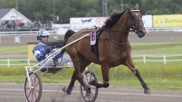 Foto: LARS JAKOBSSON / TR BILD