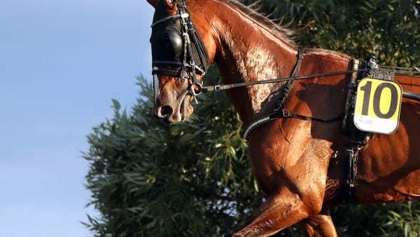 Foto: MARIA HOLMÉN / TR BILD