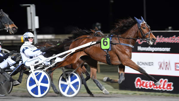 Foto: MALIN ALBINSSON / TR BILD