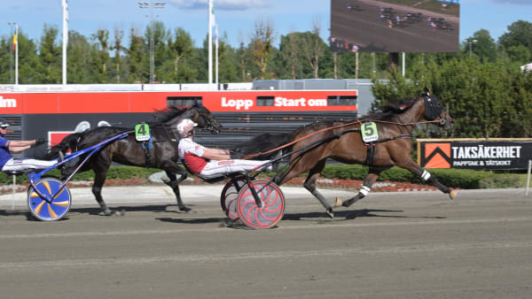 Foto: LARS JAKOBSSON / TR BILD