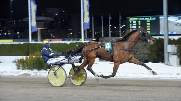 Foto: LARS JAKOBSSON / TR BILD