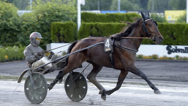 Foto: LARS JAKOBSSON / TR BILD