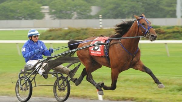 Foto: LARS JAKOBSSON / TR BILD