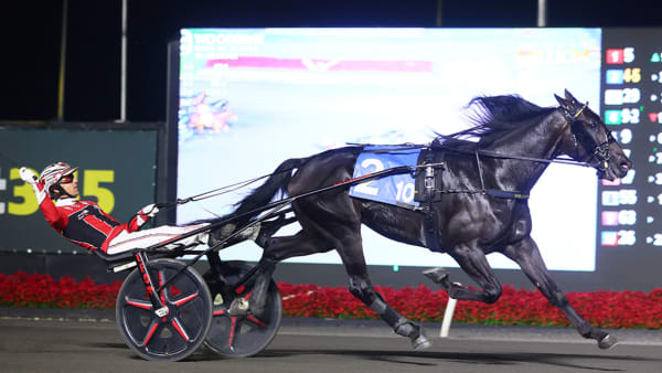 Foto: New Image Media