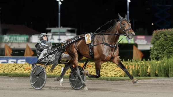 Foto: LENA EMMOTH / TR BILD