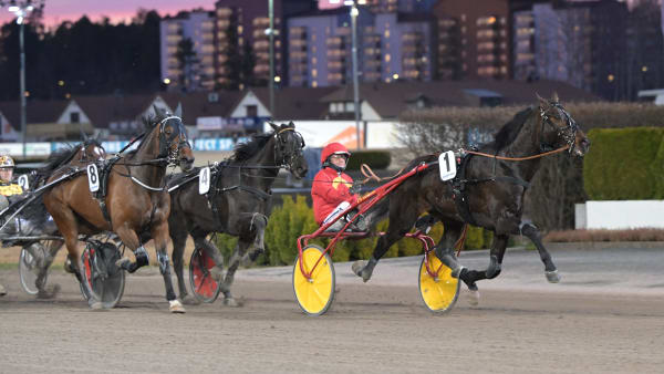 Foto: LARS JAKOBSSON / TR BILD