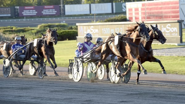 Foto: LARS JAKOBSSON / TR BILD