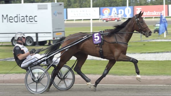 Foto: LARS JAKOBSSON / TR BILD