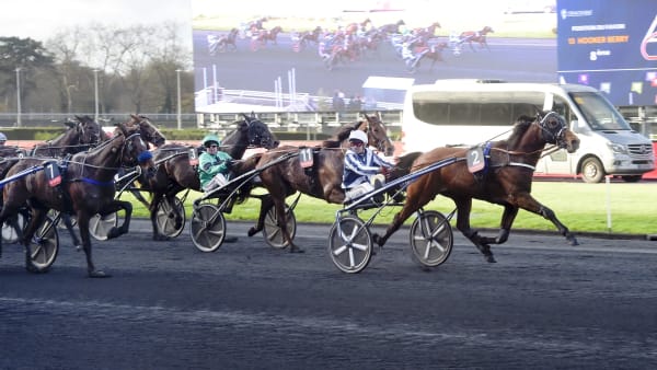 Foto: LARS JAKOBSSON / TR BILD