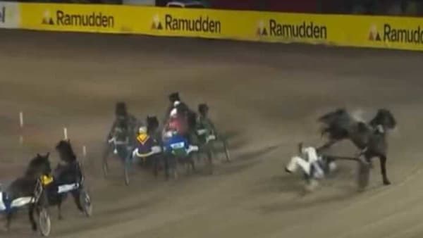 Foto: SVENSK TRAVSPORT