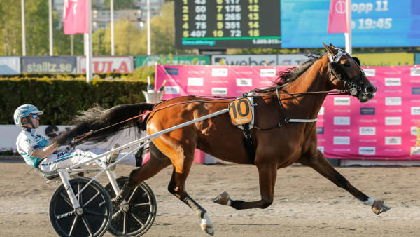 Foto: Lena Emmoth/TR Bild