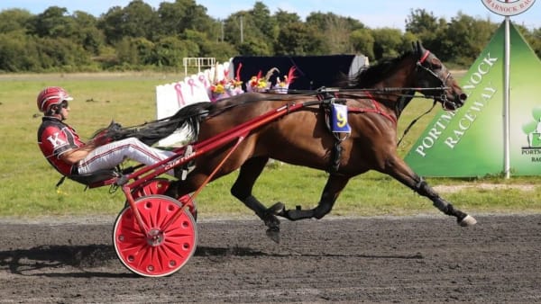 Foto: TR BILD