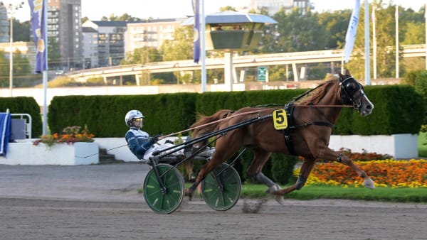 Foto: LARS JAKOBSSON / TR BILD