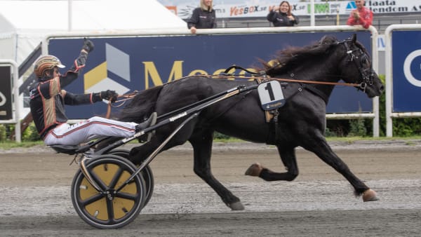 Foto: ANDERS KONGSRUD/HESTEGUIDEN.COM