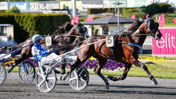 Foto: LENA EMMOTH / TR BILD