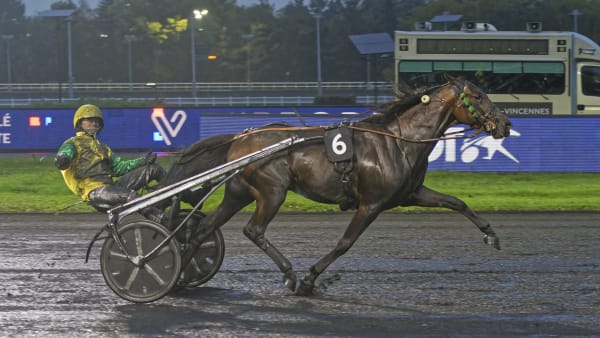 Foto: Jean-Luc Lamaère-LeTROT