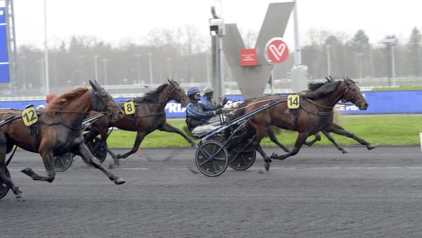 Foto: LARS JAKOBSSON / TR BILD