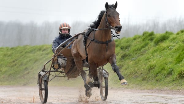 Foto: LARS JAKOBSSON / TR BILD