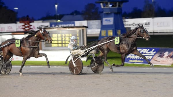 Foto: LARS JAKOBSSON / TR BILD