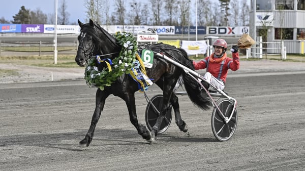 Foto: JENNY REHNMAN / TR BILD