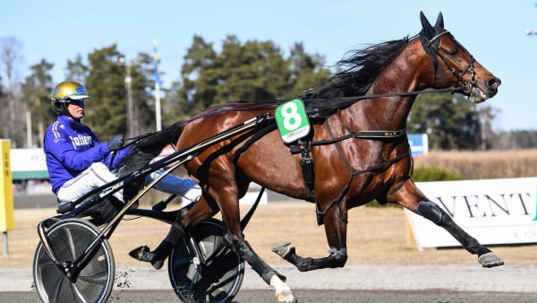 Foto: MALIN ALBINSSON / TR BILD